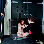 Pic of Caged amateur slaves lesbian bdsm