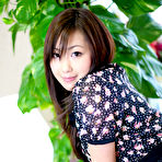 Pic of JPsex-xxx.com - Free japanese av idol harumi sex Pictures Gallery