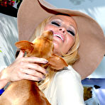 Pic of Pamela Anderson in tiny shorts walk small doggys