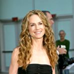 Pic of Holly Hunter nude photos and videos