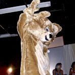 Pic of Dancing Bear, sex party, bachelorette parties gone wild, party hardcore