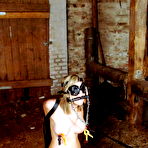 Pic of Emmas Ponygirl Punishment
