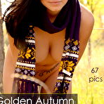 Pic of Golden Autumn | Josie Ann