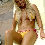 Pic of Tara Reid - nude and sex celebrity toons at Sinful Comics 