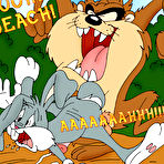 Pic of Honey Bunny getting attacked in hole by Bugs Bunny \\ Cartoon Valley \\