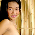 Pic of :: Club ThaiChix.com :: High Quality Asian Porn!