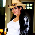 Pic of Hotty Stop / Viorotica Cowgirl