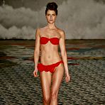 Pic of Ana Claudia Michels sexy, see through and nipple slip runway shots