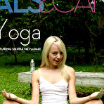 Pic of PinkFineArt | Sierra Nevadah Yoga from ALS Scan
