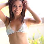 Pic of PinkFineArt | Ashley Doll Silver Bikini from Ashley Doll