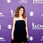 Pic of Shania Twain at Country Music Awards
