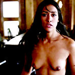 Pic of ::: Largest Nude Celebrities Archive - Janina Gavankar nude video gallery :::