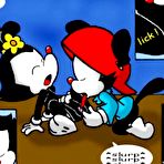 Pic of Animaniacs family hard orgy - Free-Famous-Toons.com