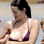 Pic of Courteney Cox - celebrity sex toons @ Sinful Comics dot com