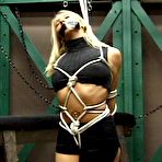 Pic of Pixie / Amber - Pain Freaks | Featuring glam pain sluts who can't get enough in exquisite bondage! Bound, gagged and beautiful!