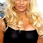 Pic of Pamela Anderson hard nipples under semi-transparent dress