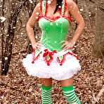 Pic of PinkFineArt | Nikki Sims Christmas 2012 from Nikki Sims
