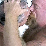 Pic of MasculineBears.com - hot, hairy, horny gay bears! Watch natural beefy daddies put their beef to action!