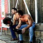 Pic of MasculineBears.com - hot, hairy, horny gay bears - big hairy men in action!!