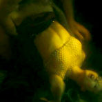 Pic of :: Sharon Stone sex videos @ MrSkin.com free celebrity naked ::