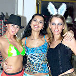 Pic of Sincity voyeurhouse funny bunny party photos