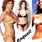 Pic of ::: Celebs Sex Scenes ::: Raquel Welch gallery