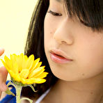 Pic of Sunflower Girl @ AllGravure.com
