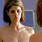 Pic of Amanda Peet gallery - free naked celebrities pictures
