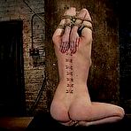 Pic of SexPreviews - Cherry Torn blonde bound in rope and made to cum