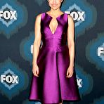 Pic of Carla Gugino cleavage at 2015 Fox All-Star Party