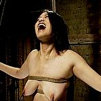 Pic of SexPreviews - Madeleine asian bdsm slave in bondage blowjobs her master and gets fucked