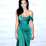 Pic of Angie Harmon slight cleavage in green dress