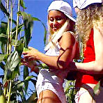 Pic of Seventeen Video 2 Dutch teenies chased in a cornfield