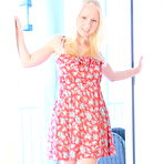Pic of Sexy Pattycake - Red Floral Dress | Web Starlets