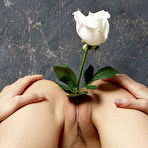 Pic of TigerLily C4 - Free Erotic Nudes from MoreyStudio.com