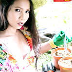 Pic of Thai Cuties - Felicia