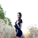 Pic of Nude Brunette in a Wheat Field