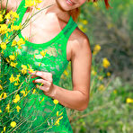 Pic of Violla A Busty Redhead Naked by Wild Yellow Flowers