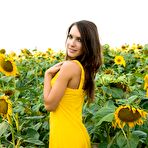 Pic of Gorgeous babe Semmi A removes her yellow dress outside in the sunflowers