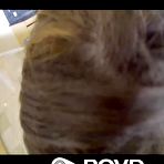 Pic of Curvy Babe Keisha Grey in POV Video - Porn Portal