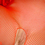 Pic of Sexy Nylon Stockings