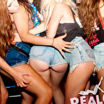Pic of British Party Girls Go Wild / Hotty Stop