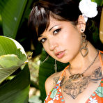 Pic of Coco Velvett: Tattooed hottie Coco Velvett with... - Babes and Pornstars