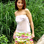 Pic of Nude Asian Outdoors Among The Bushes And Trees