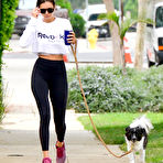 Pic of Nina Dobrev - Walking her dog in LA - 09/05/2018 - The Drunken stepFORUM - A place to discuss your worthless opinions