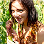 Pic of Oxana Chic Fun in a Corn Field