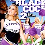 Pic of Three Cheers For Black Cock 2 | Third Degree Films | SugarInstant