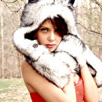 Pic of Bailey Knox Wolf Hunting In Suburbia - Bunny Lust
