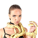 Pic of Oxana Chic / Snake Charmer | iStripper gallery