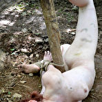 Pic of SexPreviews - Hazel Hypnotic paranoid petite redhead is bound in the woods and toyed